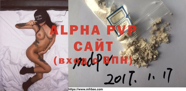 гашик Гусев