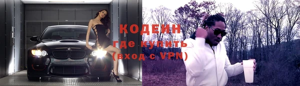 гашик Гусев