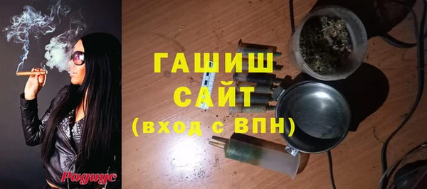 гашик Гусев
