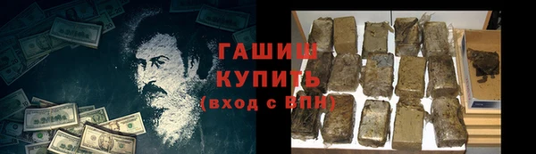 гашик Гусев