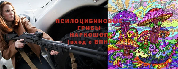 гашик Гусев