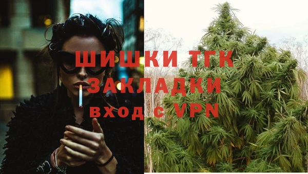 гашик Гусев