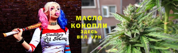 гашик Гусев
