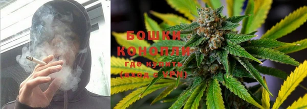 гашик Гусев