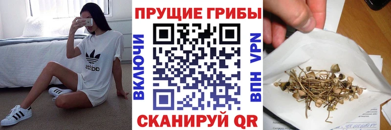 Галлюциногенные грибы мицелий  купить  сайты  Сураж 